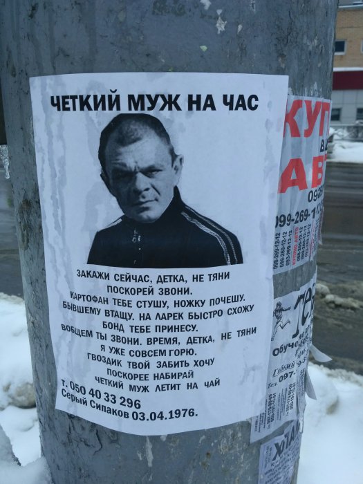 Забавные картинки