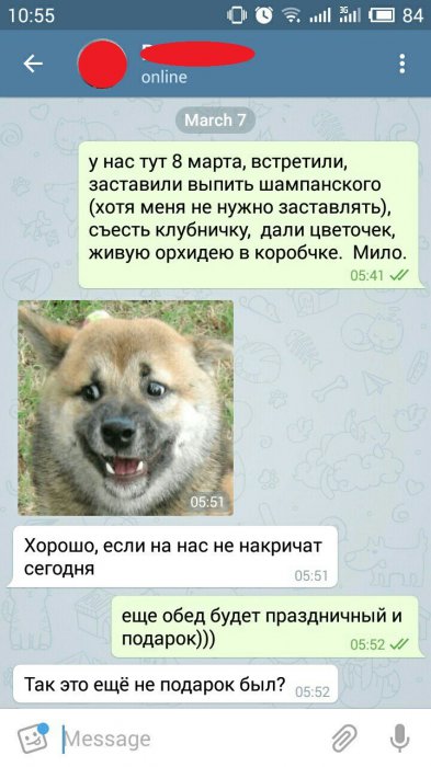 Забавные картинки