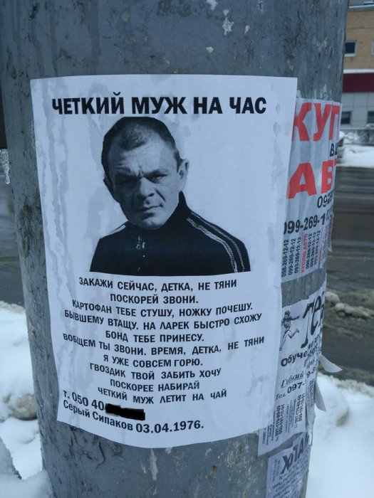 Забавные картинки