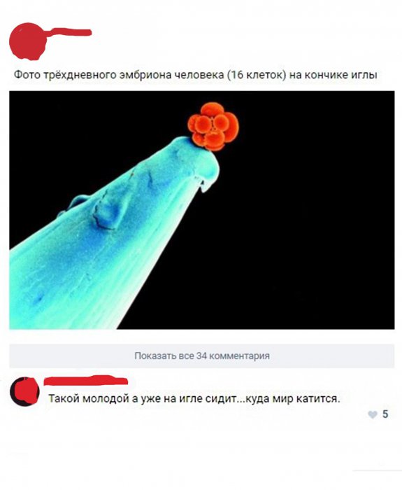 Забавные картинки