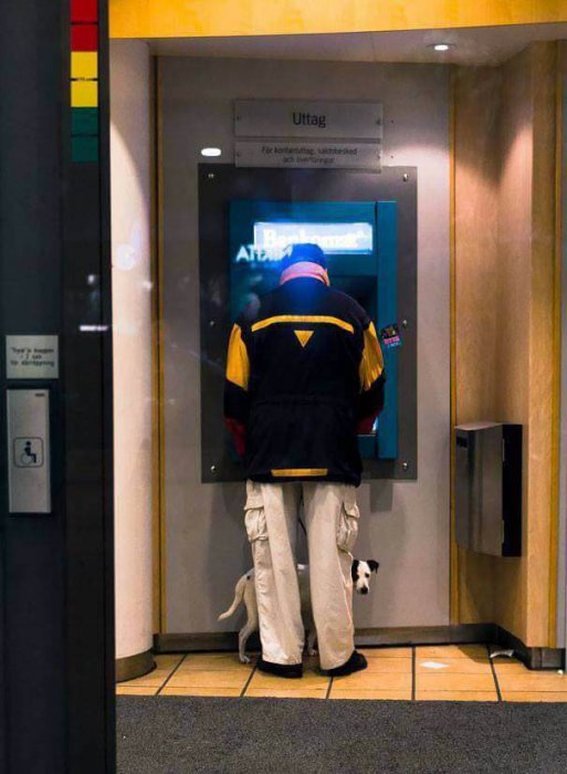 Забавные картинки