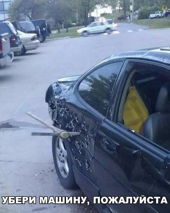 Забавные картинки