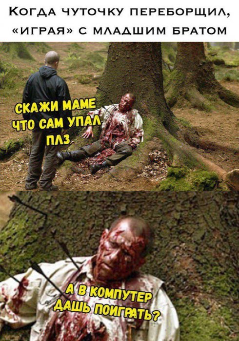 Забавные картинки