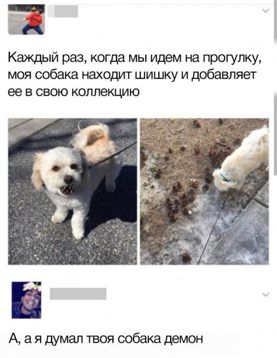 Забавные картинки