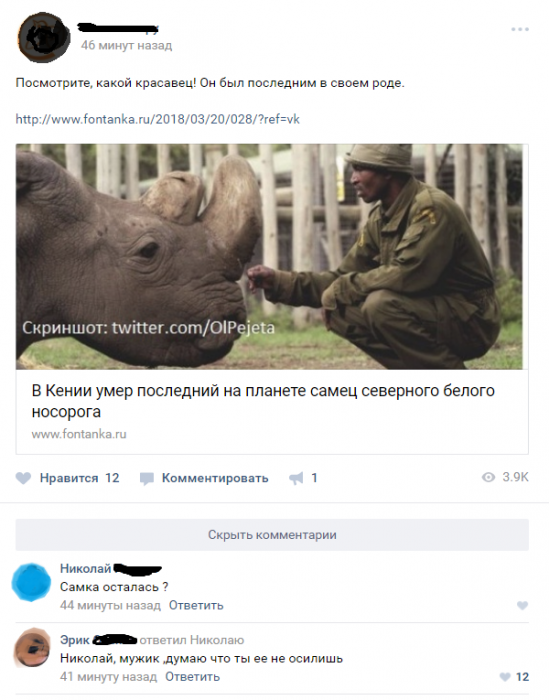 Забавные картинки