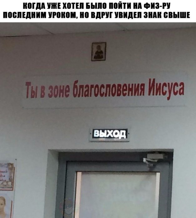 Забавные картинки