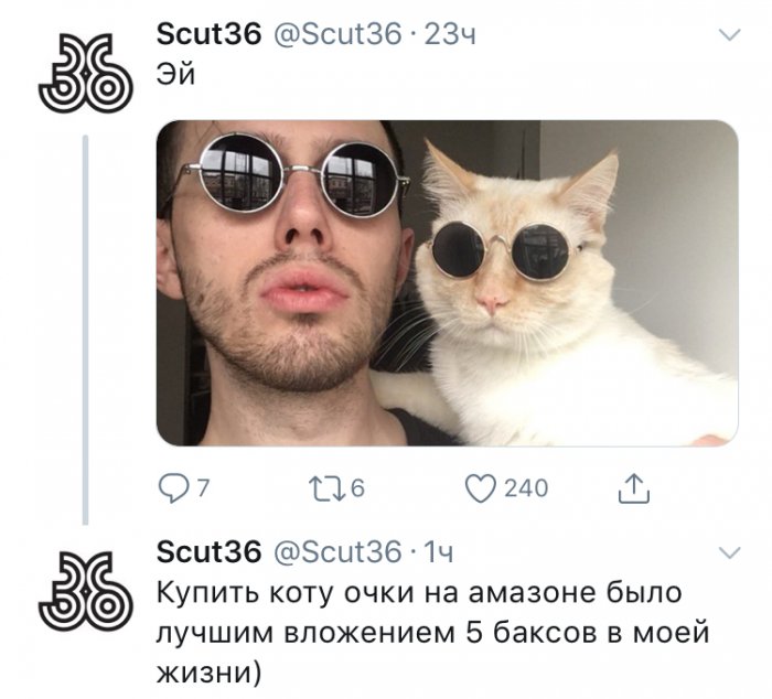 Забавные картинки