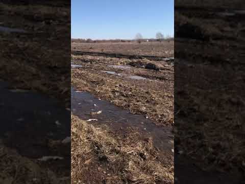 Место падения Ан-148 сейчас