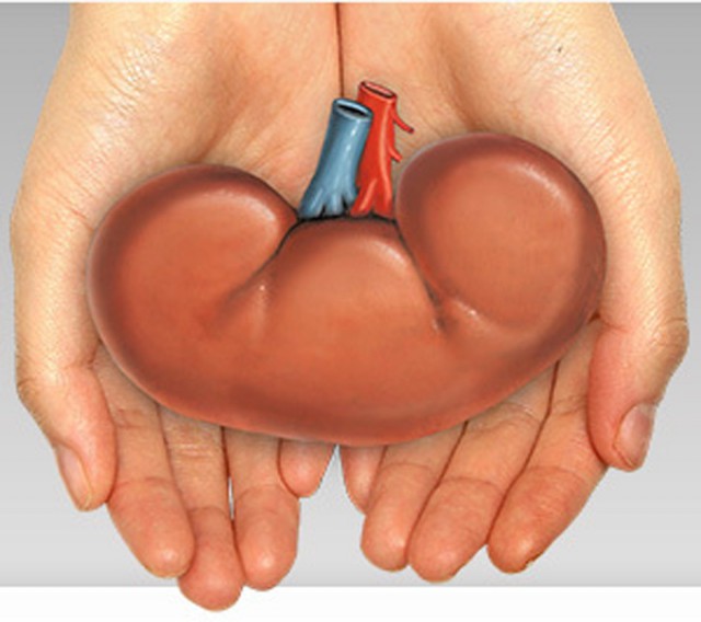 Скрытые резервы экономики России    