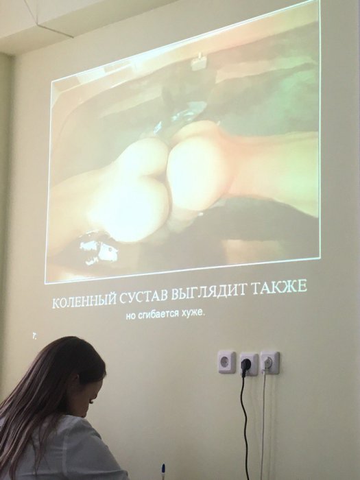 Забавные картинки