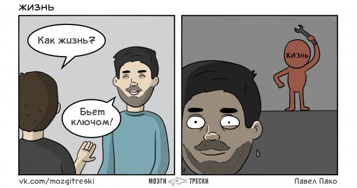 Забавные картинки