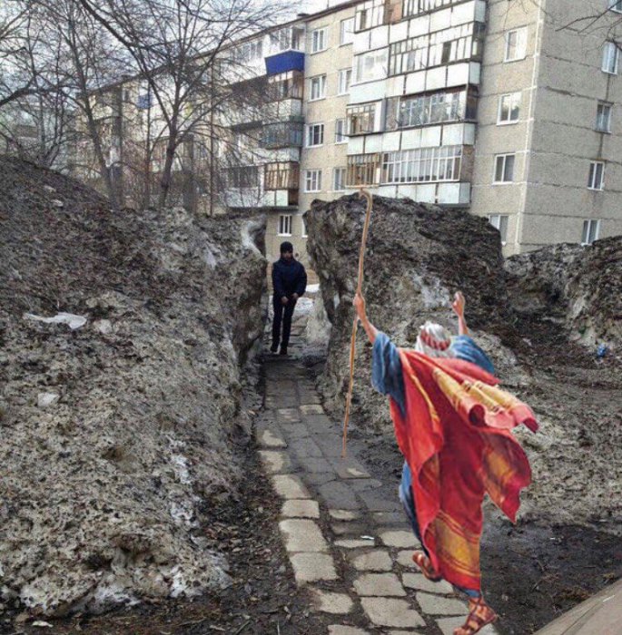 Забавные картинки