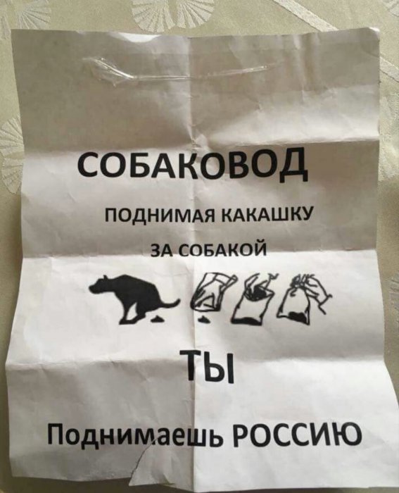 Забавные картинки