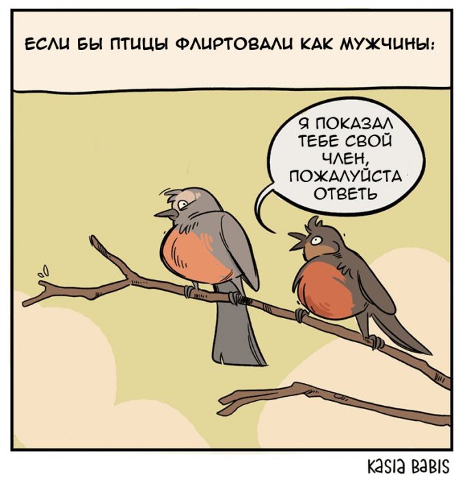 Забавные картинки