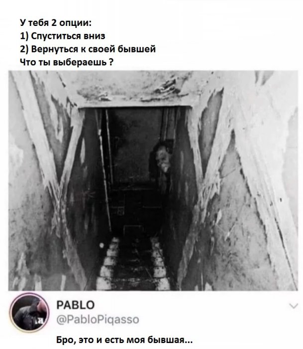 Забавные картинки