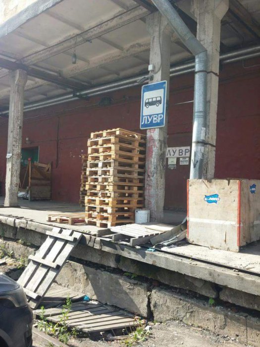 Забавные картинки