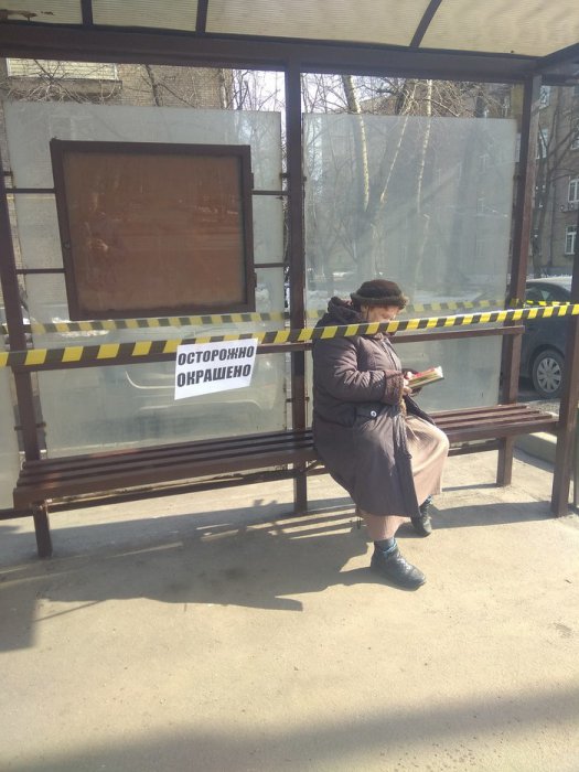 Забавные картинки