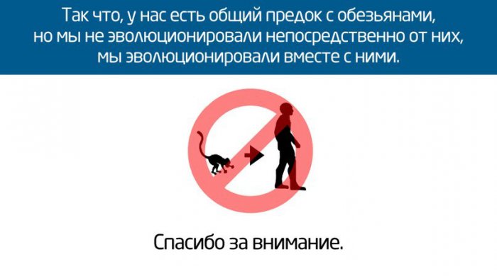 Про эволюцию по полочкам