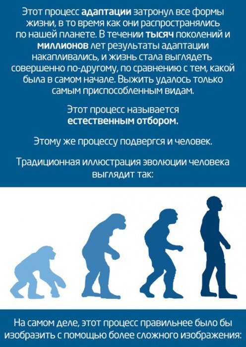 Про эволюцию по полочкам