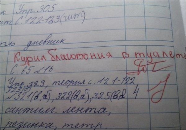 Забавные картинки