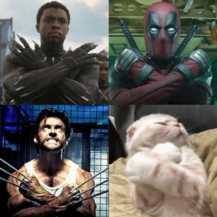 Забавные картинки