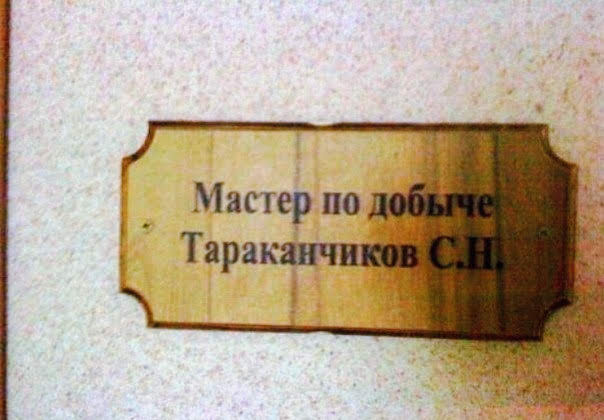 Забавные картинки