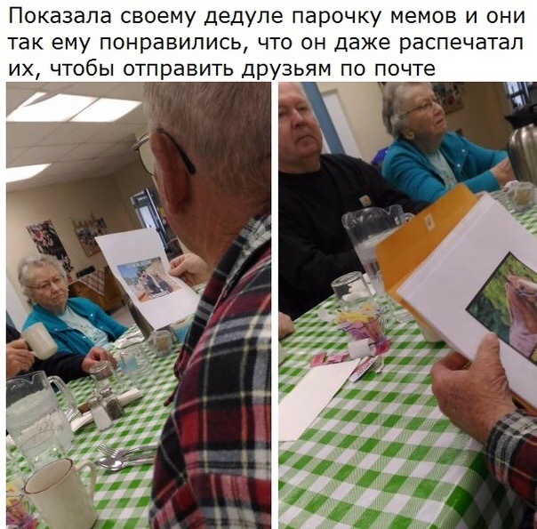 Забавные картинки