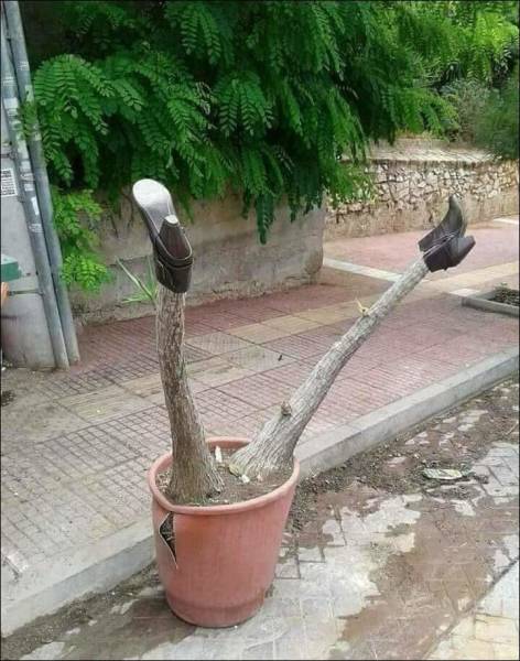 Забавные картинки