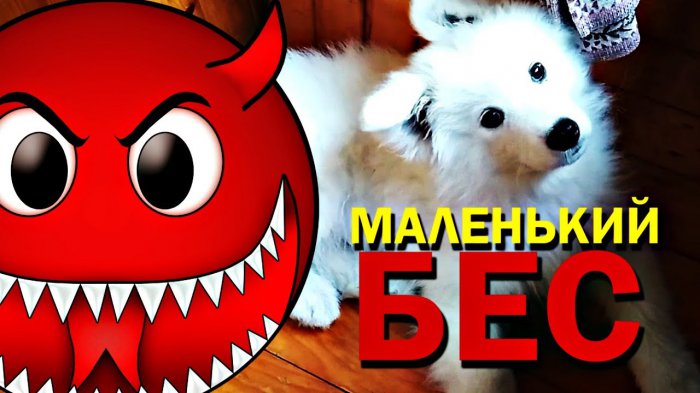 Планирование / Первые лиды / Маленький бес - самоед / Бросаю курить