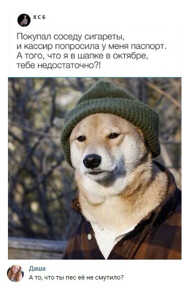 Забавные картинки