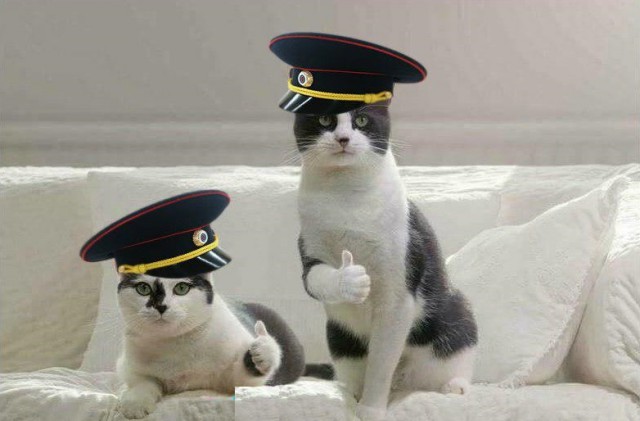 Госдума намерена создать в России зоополицию    