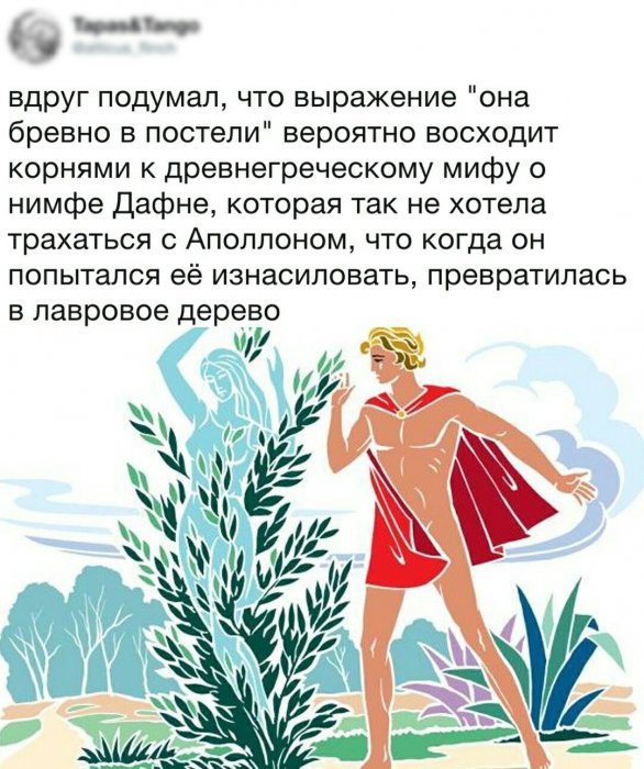 Забавные картинки