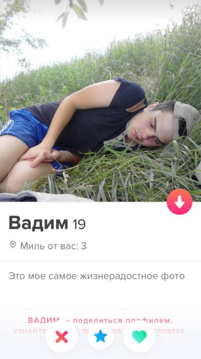 Забавные картинки