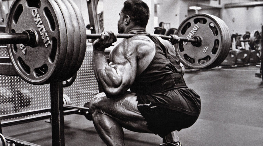 Важные упражнения для любых тренировок Важные упражнения для любых тренировок