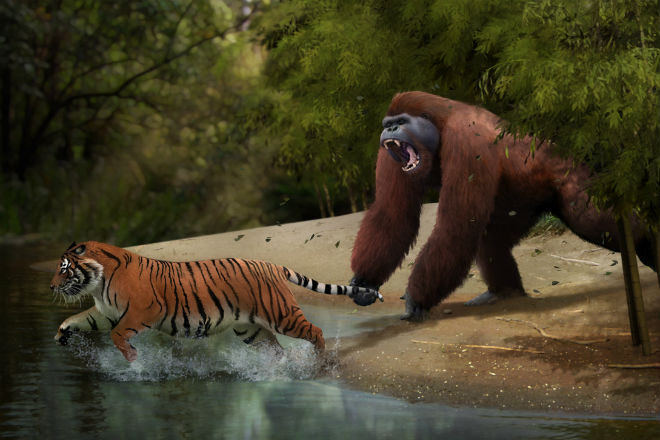 Огромные обезьяны прошлого