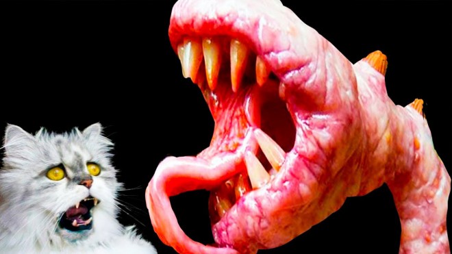 Растения-хищники на видео