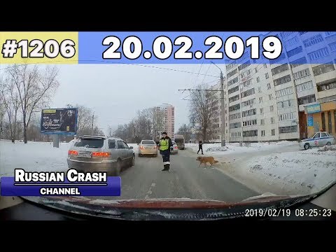 Подборка на видеорегистратор 1206