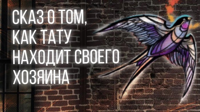 Сказка о том, как тату находит своего хозяина