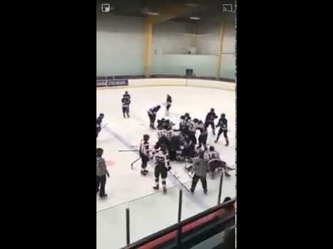 Хоккей, как и свадьба, без драки не бывает!