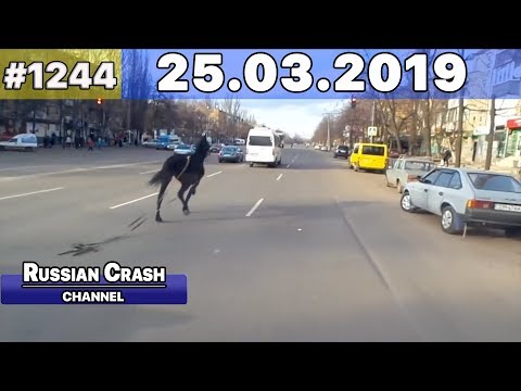 Подборка на видеорегистратор 1244