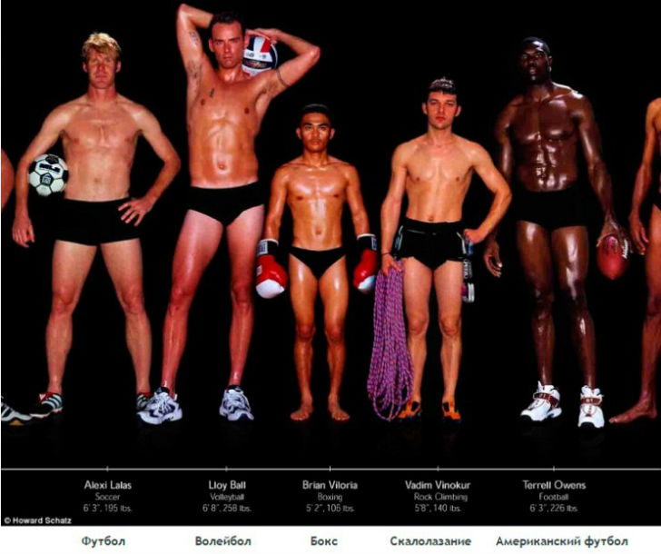 Тела профессиональных спортсменов в разных видах спорта