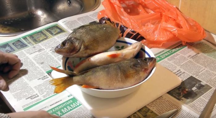 Метод чистки окуней без снятия шкуры