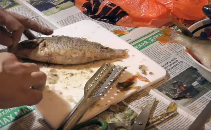 Метод чистки окуней без снятия шкуры