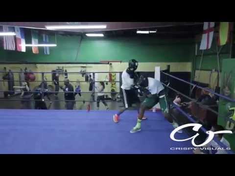 Воспитание сына при помощи боксёра