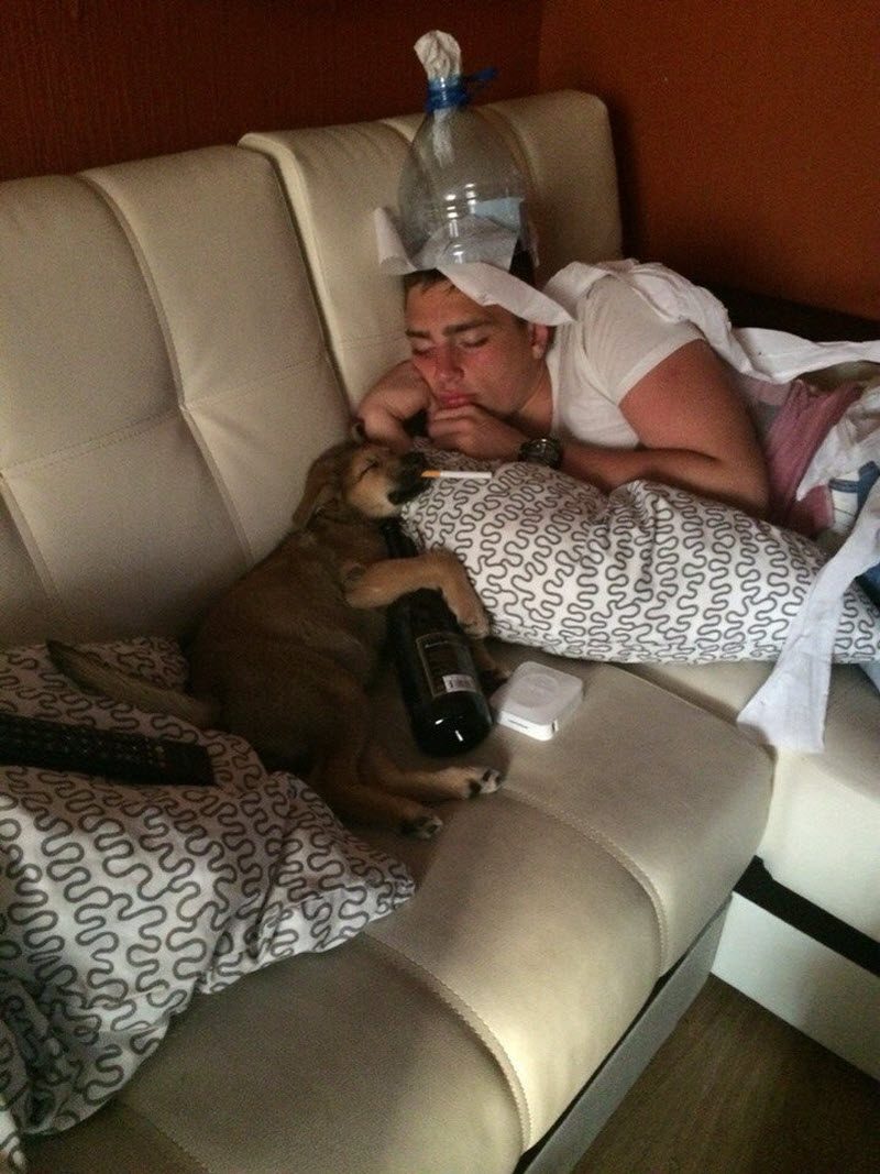 Забавы молодых: пьянки, гулянки, вписки