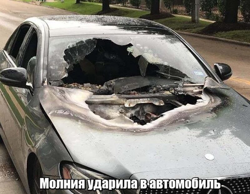 Прикольные картинки