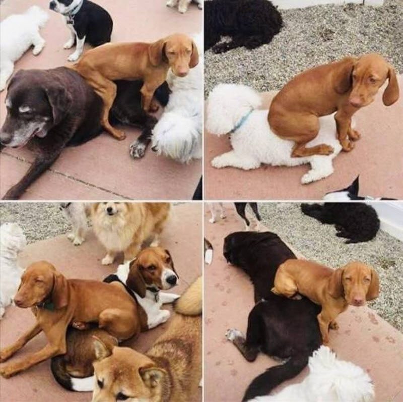 Прикольные картинки