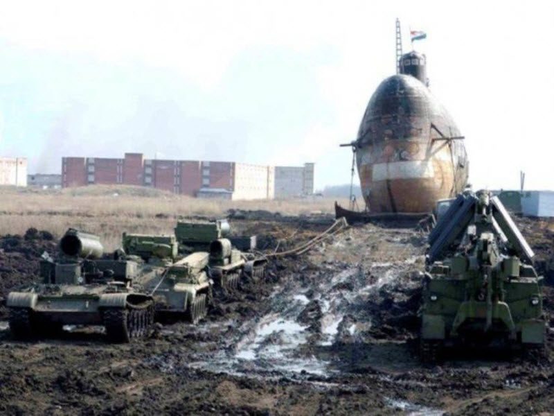 Прикольные картинки