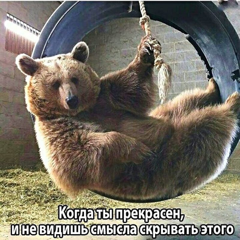 Прикольные картинки