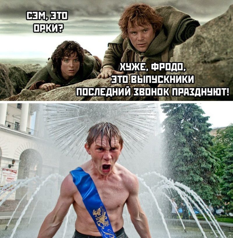 Прикольные картинки